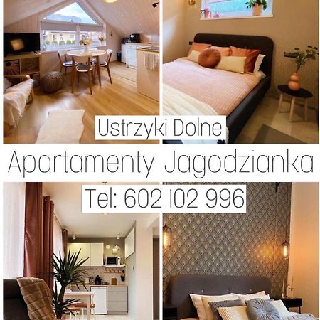 אוסטריצקי דולנה Apartamenty Jagodzianka - Jacuzzi, Sauna, Teznia Solankowa מראה חיצוני תמונה